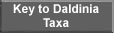 Key to Daldinia Taxa
