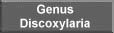 Genus Discoxylaria
