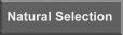 Natural Selection