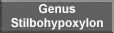 Genus Stilbohypoxylon