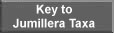 Key to Jumillera Taxa