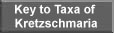 Key to Taxa of Kretzschmaria